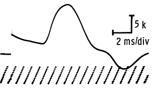 Ground electrode issues demonstration