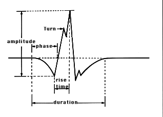 Motor unit potential characteristics